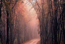 开云体育：“死磕”体育纠纷痛点的“体育仲裁”2025-01-21.