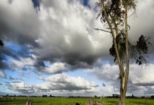 开云体育：巴特勒战旧主11分阿德巴约27+8 勇士不敌热火.