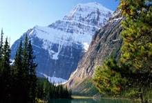 欧文25+9+5汤普森18分 独行侠送黄蜂5连败.