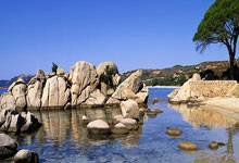 友谊赛-特雷泽盖进球德布劳内失误 比利时1-2埃及.